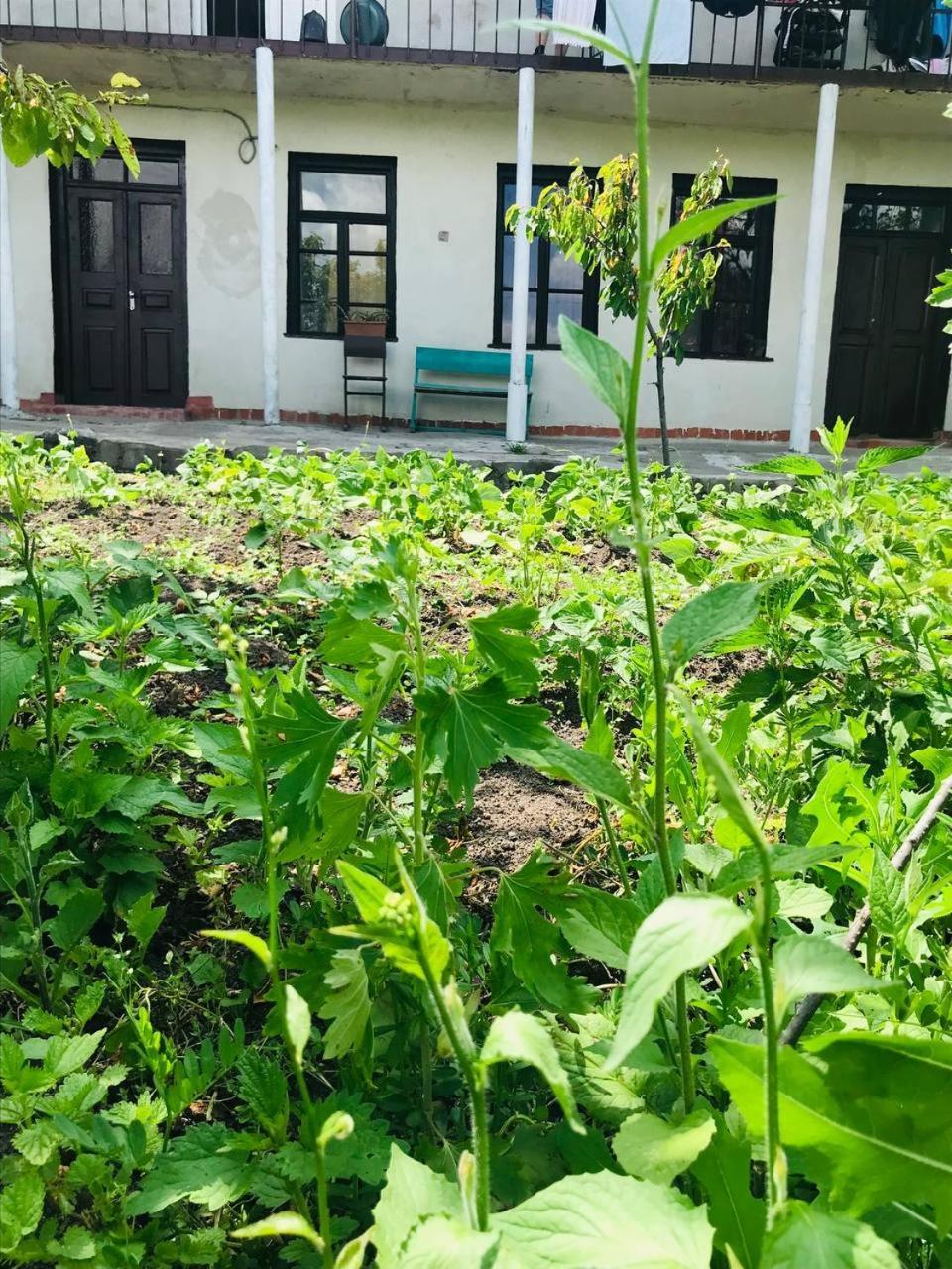 Dzoragyugh B&B Bagian luar foto